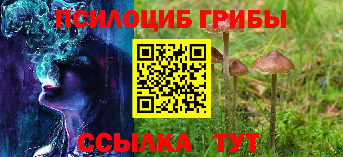 Псилоцибиновые грибы Cubensis Кашира